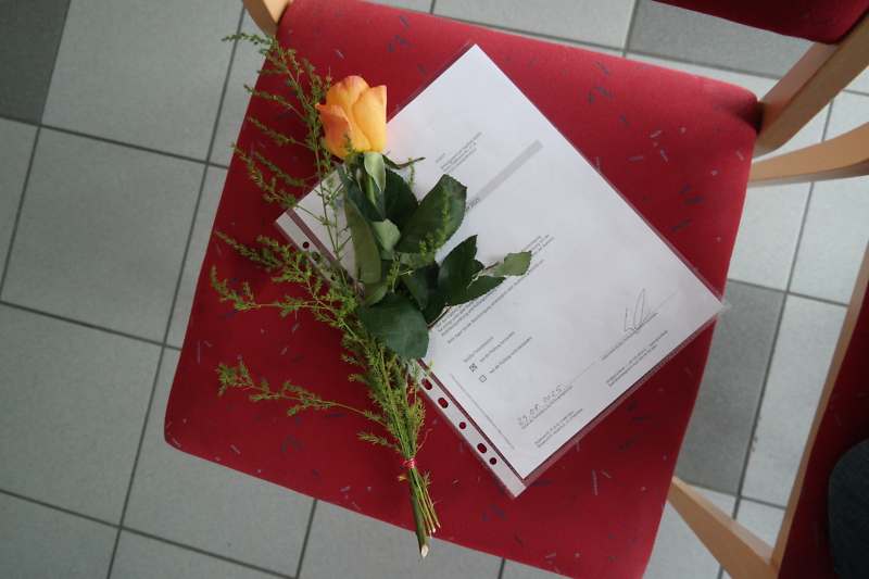 gelbe Rose auf einem Zeugnis