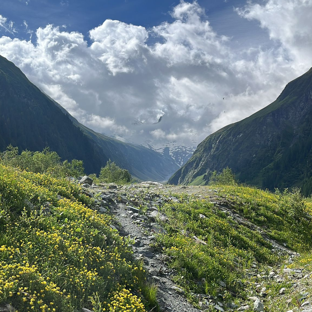 Berglandschaft